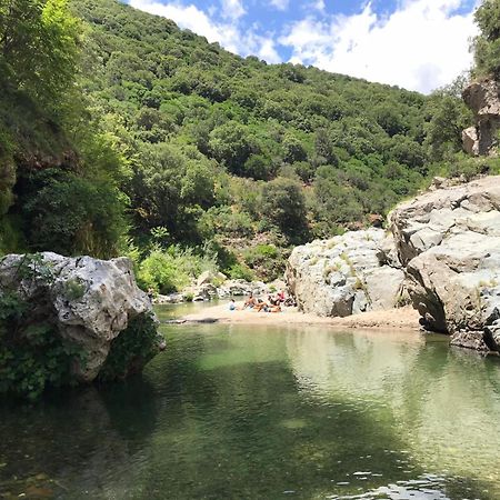 New! La Ginestra,Casa Vacanze Bifamiliare In Montagna-Seulo Sardegna ภายนอก รูปภาพ