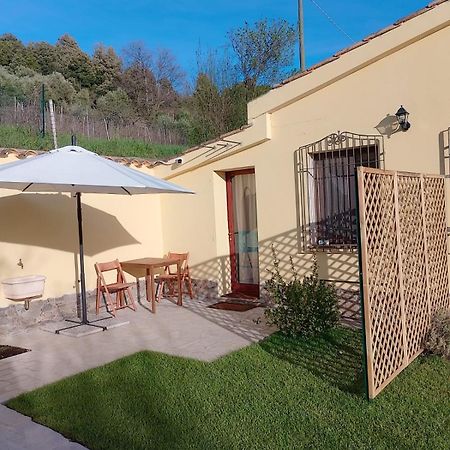 New! La Ginestra,Casa Vacanze Bifamiliare In Montagna-Seulo Sardegna ภายนอก รูปภาพ