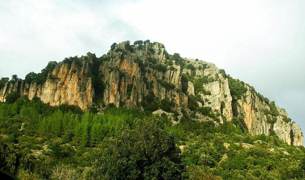 New! La Ginestra,Casa Vacanze Bifamiliare In Montagna-Seulo Sardegna ภายนอก รูปภาพ