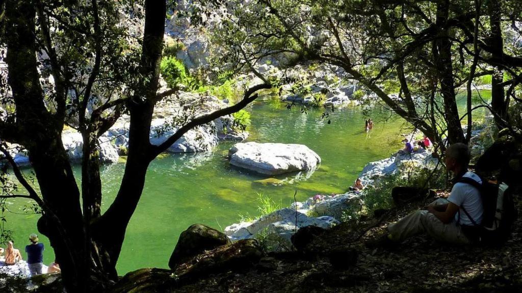 New! La Ginestra,Casa Vacanze Bifamiliare In Montagna-Seulo Sardegna ภายนอก รูปภาพ