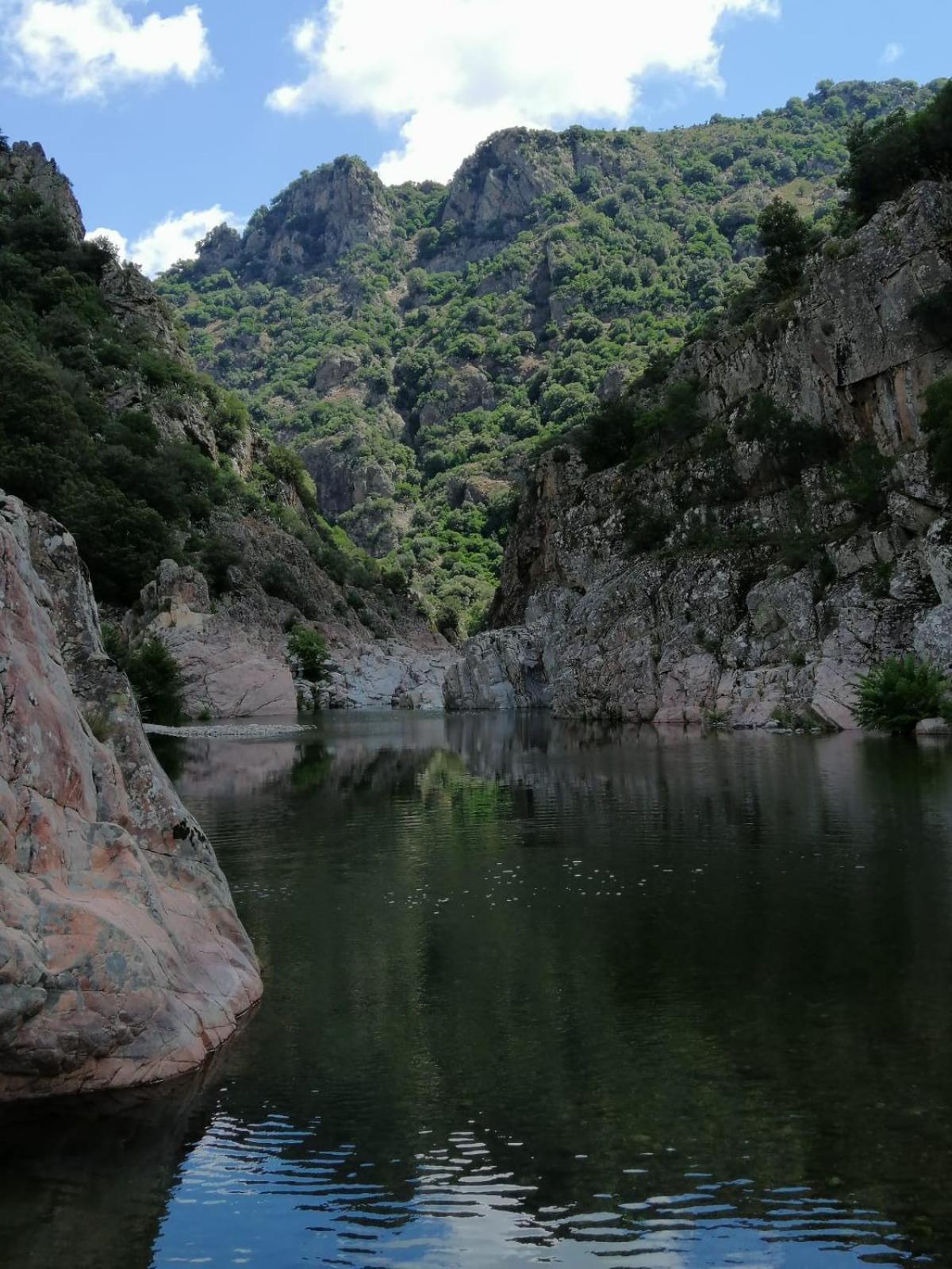 New! La Ginestra,Casa Vacanze Bifamiliare In Montagna-Seulo Sardegna ภายนอก รูปภาพ